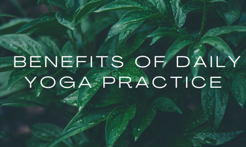 The Benefits of Daily Yoga Practice Nurturing Mind, Body, and Soul